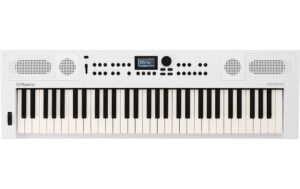 Roland GO:KEYS 5 White Music Creation Keyboard, 61-Tasten, weiss kaufen Schweiz | Mediatech.ch