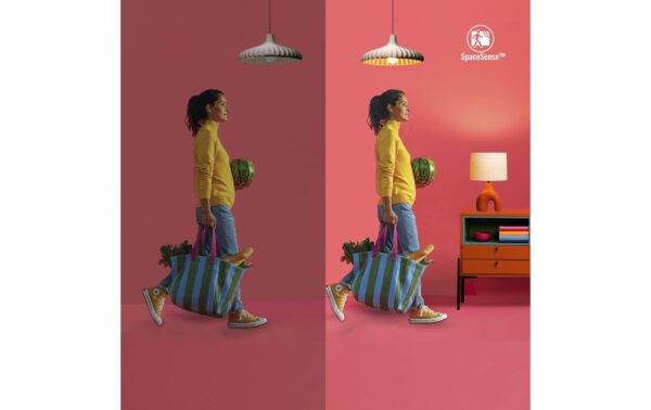WiZ Smart Plug CH weiss, matter, Wlan