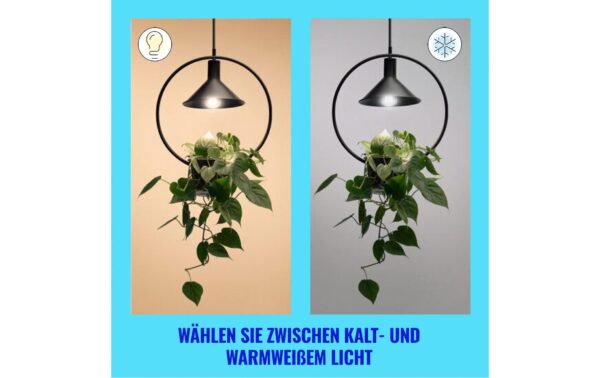 1705584_8 - Mediatech WiZ Lampe A60 A Label E27 4.3W 903lm 2200-6500K