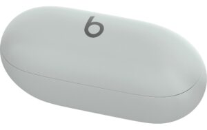 Apple Beats Solo Buds Wireless Earbuds Storm Grey