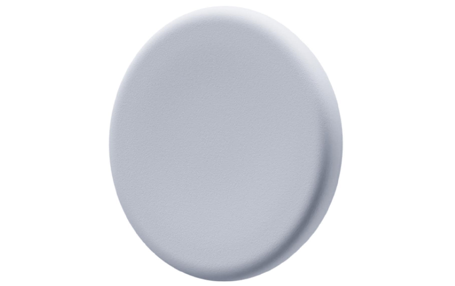 1723710 - Mediatech Legamaster Glasboard Magnet, 5 Stk. chilly lake, 30mm kaufen Schweiz | Mediatech.ch