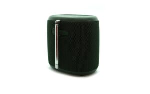 Pure Woodland Mini, green Outdoor Speaker, BT, IP67, Akku