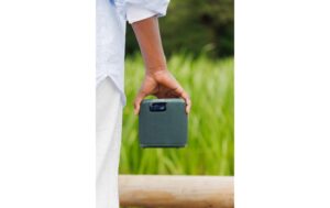 Pure Woodland Mini, green Outdoor Speaker, BT, IP67, Akku