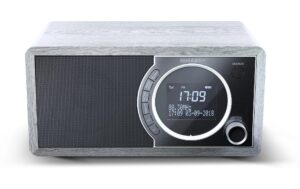 1770392_1 - Mediatech Sharp, DR-450, grau DAB+/ FM Radio, grau