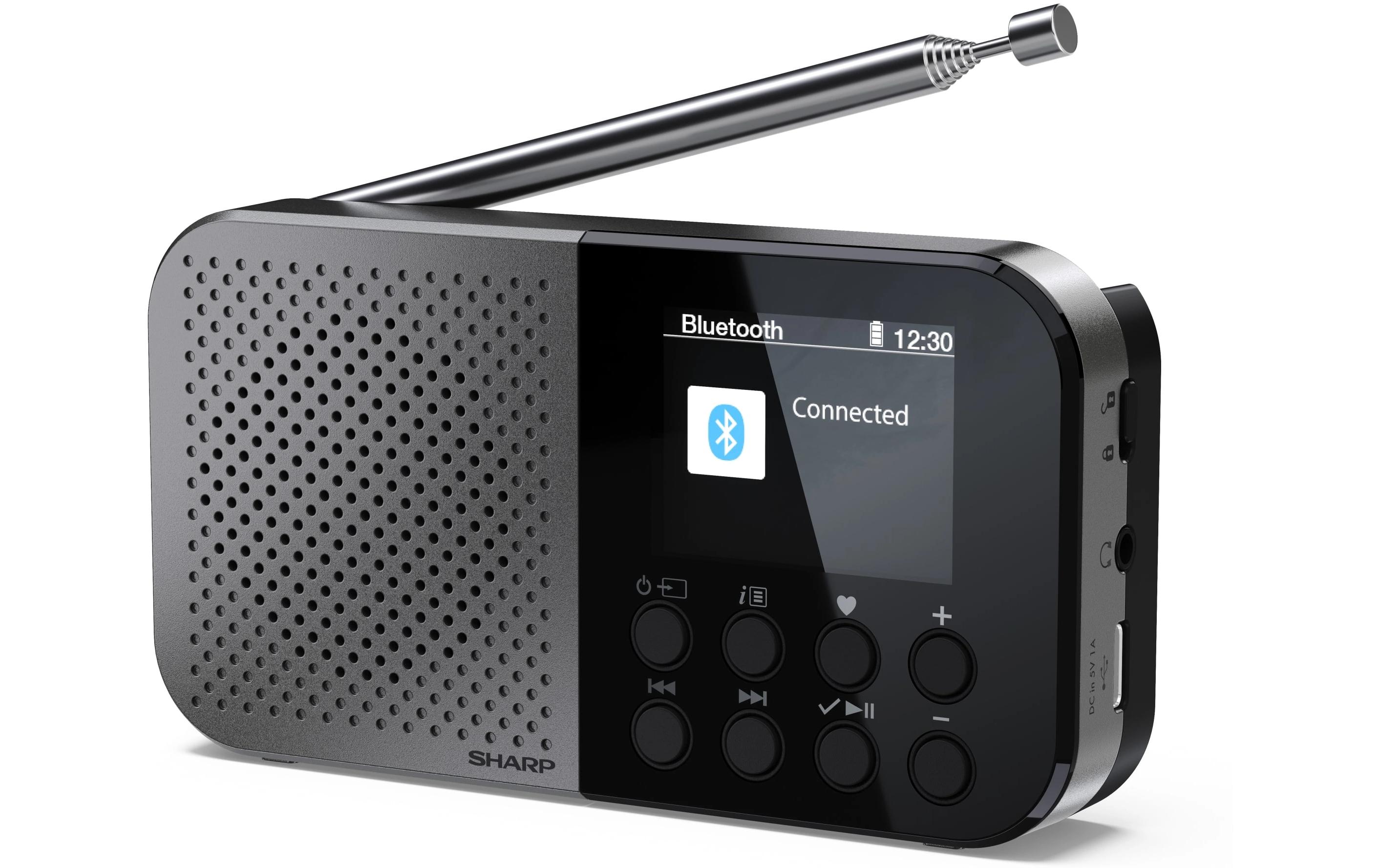 1770393 - Mediatech Sharp portable radio DR-P520 GR Pocket Mono DAB+/FM + built-in Li battery kaufen Schweiz | Mediatech.ch