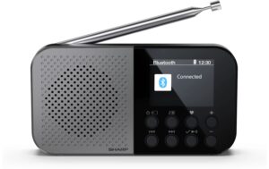 1770393_1 - Mediatech Sharp portable radio DR-P520 GR Pocket Mono DAB+/FM + built-in Li battery
