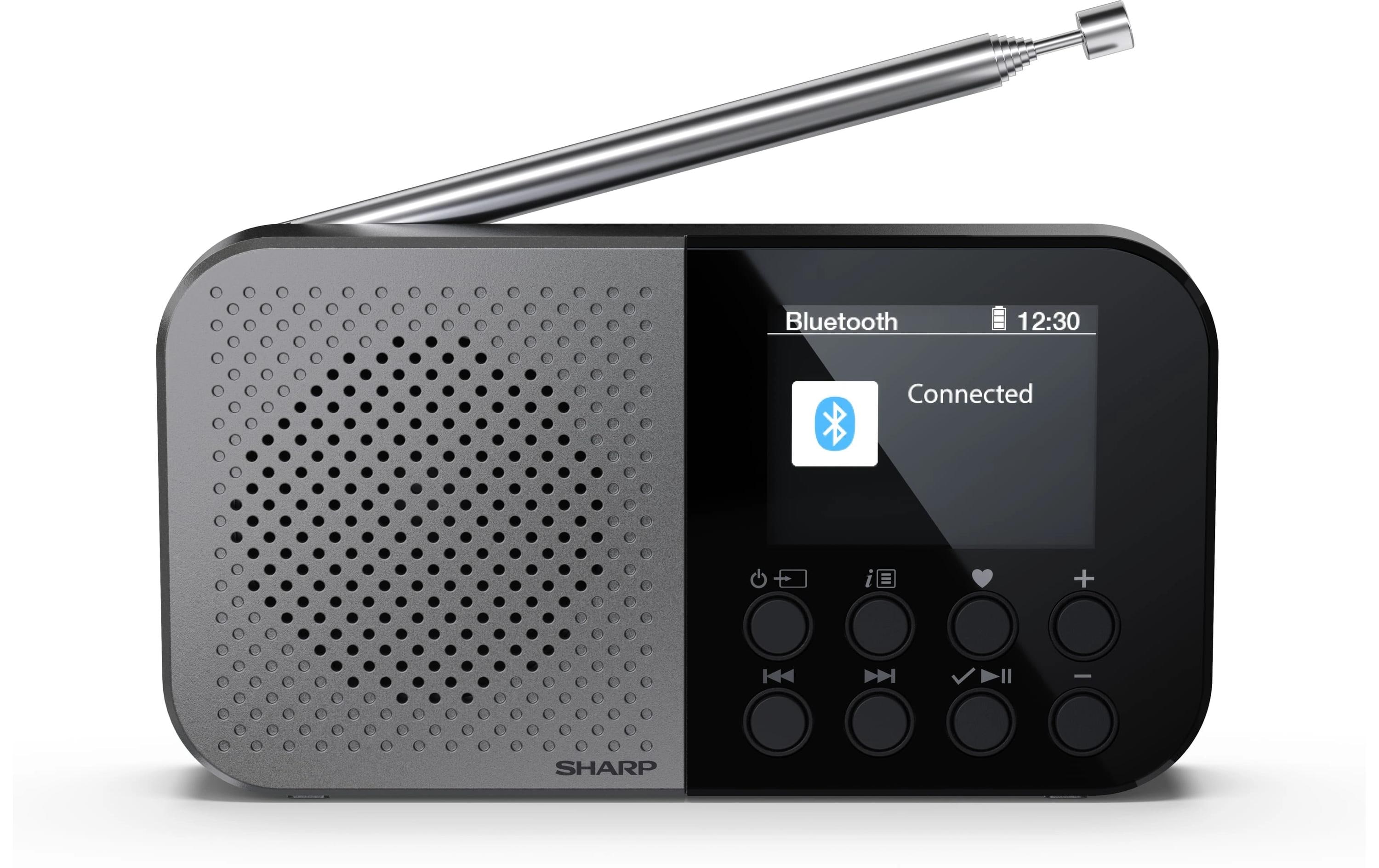 1770393_1 - Mediatech Sharp portable radio DR-P520 GR Pocket Mono DAB+/FM + built-in Li battery