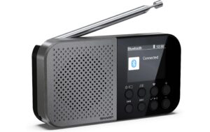 1770393_2 - Mediatech Sharp portable radio DR-P520 GR Pocket Mono DAB+/FM + built-in Li battery