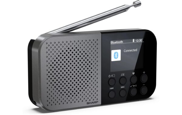 1770393_2 - Mediatech Sharp portable radio DR-P520 GR Pocket Mono DAB+/FM + built-in Li battery