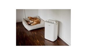 1776860_8 - Mediatech Ecofort Luftentfeuchter ecoQ 20L 20l/24h, 270W, 50m2