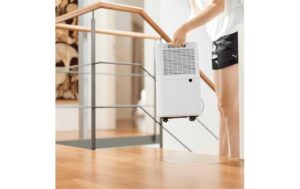 Ecofort Luftentfeuchter ecoQ DryAir 12L 