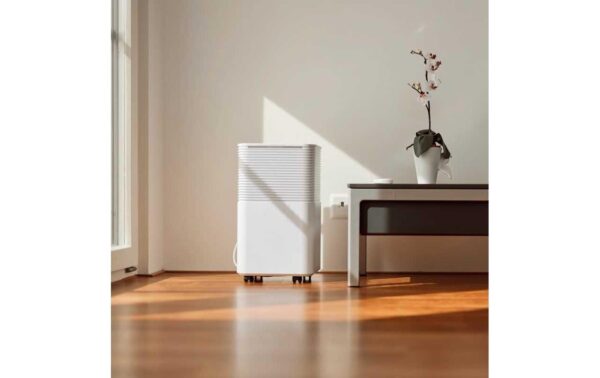 Ecofort Luftentfeuchter ecoQ DryAir 12L 