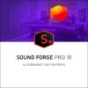 1781655 - Mediatech Magix Sound Forge Pro 18 ESD, Vollversion, DE,EN,ES,FR