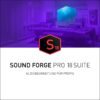 Magix Sound Forge Pro 18 Suite ESD, Vollversion, DE,EN,ES,FR