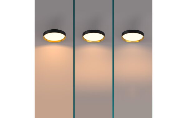 1787772_5 - Mediatech Philips Deckenleuchte Hanno 24W, SceneSwitch, 2700K, 2700 LM, sz-gold.