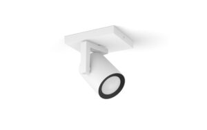 Philips Hue White & Col. amb. argenta 1 flg. weiss 350lm