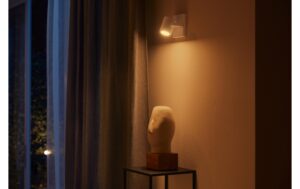 Philips Hue White & Col. amb. argenta 1 flg. weiss 350lm