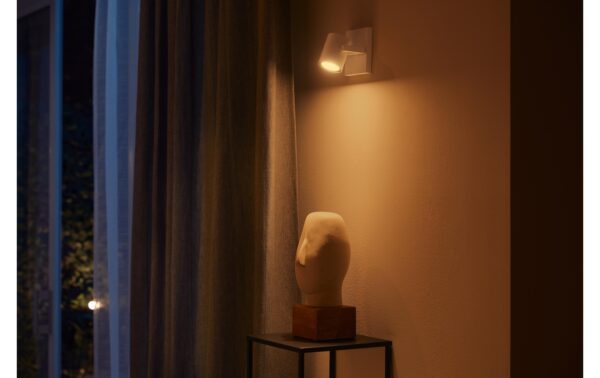 Philips Hue White & Col. amb. argenta 1 flg. weiss 350lm