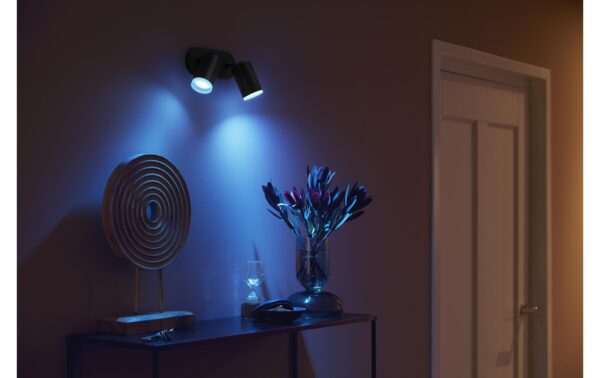 Philips Hue White & Col. amb. Fugato 2 flg. schwarz 2x350lm