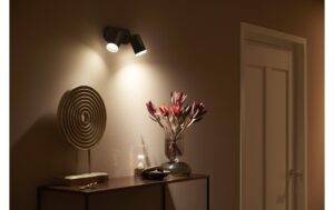 Philips Hue White & Col. amb. Fugato 2 flg. schwarz 2x350lm