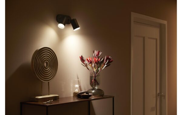 Philips Hue White & Col. amb. Fugato 2 flg. schwarz 2x350lm