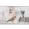 LG 55EW5P-M Public OLED Display 55 FHD, OLED, 600cd/m2, 18/7, Transparent