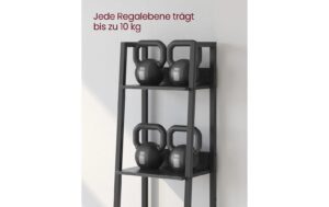 Vasagle Regal Schwarz, 5 Ablagen 33.8x30x170 cm (BxTxH), Spanplatte, Stahl
