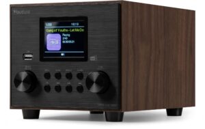 Audizio Vieste WD DAB+/FM Radio, BT, SUB, holzoptik