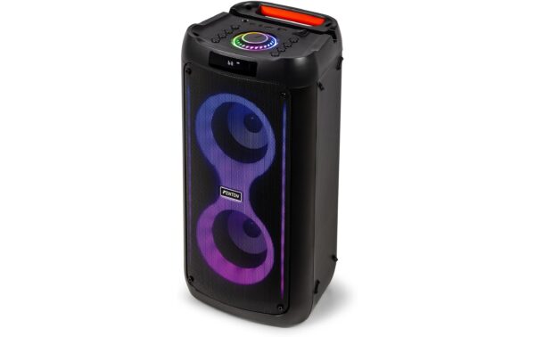 Fenton Core80 Bluetooth Partylautsprecher, 2x 4, LED