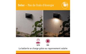 Paulmann Solar LED Wegeleuchte Elliot IP44 3000K 5lm Anthrazit
