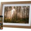 1860065 - Mediatech COCON Digitaler Bilderrahmen 10.1 holz 32GB, 800*1280IPS, 2.4GHzWifi, FRAMEO APP