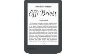 PocketBook Verse Lite Midnight grey 6 E-Ink Carta™ ,16 Graustufen, 8GB Speiche