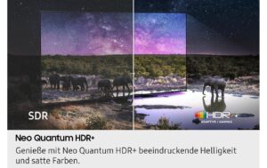 1878077_4 - Mediatech Samsung TV QE1115QN90F TXZU, 115 NEO-QLED-TV, NQ4 AI Gen3 Processor