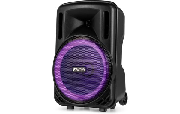 Fenton FT12LED MK2 Portables Soundsystem 12, Mic, LED, BT