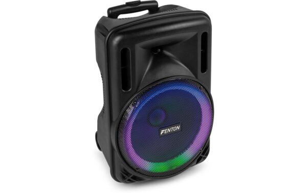 Fenton FT12LED MK2 Portables Soundsystem 12, Mic, LED, BT