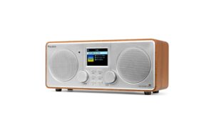 1880606_2 - Mediatech Audizio FozaSI Internet Radio, DAB+, Wifi, BT, AUX, silber