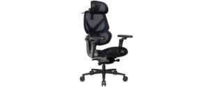 ThunderX3 FLEX Pro Gaming Chair Mesh, schwarz