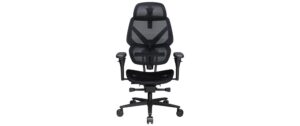 ThunderX3 FLEX Pro Gaming Chair Mesh, schwarz