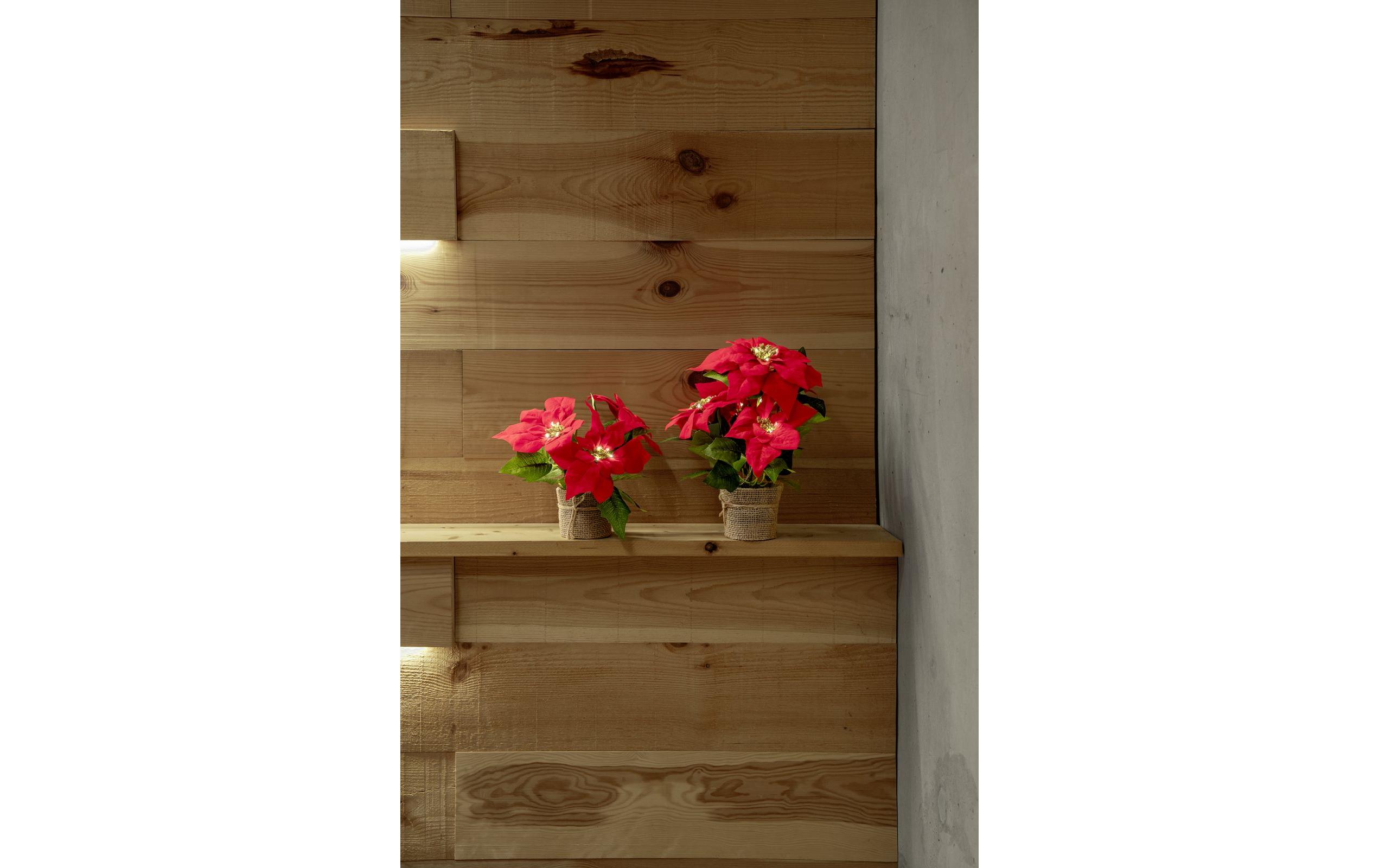 1920317_1 - Mediatech STT LED Poinsettia 33 27LED ww, 18x33cm, exkl. 3xAAA, Timer 6/18