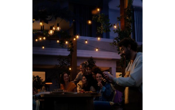 1951189_4 - Mediatech Philips Hue Festavia Globe Outdoor 21m Verlängerung ohne Netzteil