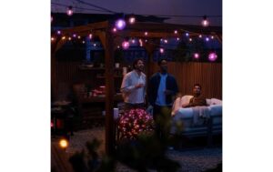1951189_6 - Mediatech Philips Hue Festavia Globe Outdoor 21m Verlängerung ohne Netzteil