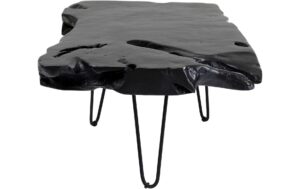 Kare Couchtisch Aspen Schwarz 100x40