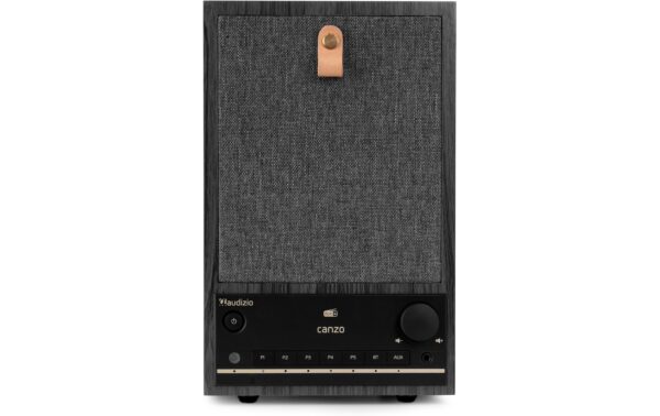 Audizio CanzoGR Internet Radio,DAB+,BT,RJ45,LCD,WiFi, DG