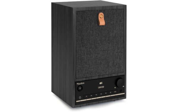 Audizio CanzoGR Internet Radio,DAB+,BT,RJ45,LCD,WiFi, DG