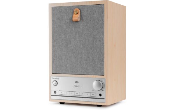 Audizio CanzoLW Internet Radio,DAB+,BT,RJ45,LCD,WiFi, WD