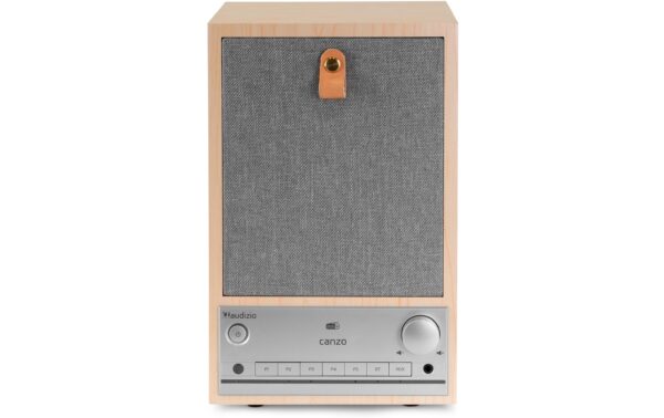 Audizio CanzoLW Internet Radio,DAB+,BT,RJ45,LCD,WiFi, WD