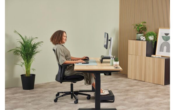 2028193_5 - Mediatech Fellowes Breyta Plus+ Vertikalmaus, schwarz Klein für Rechtshänder