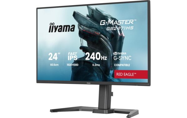IIYAMA 24 GB2471HS-B1 HDMI, DP