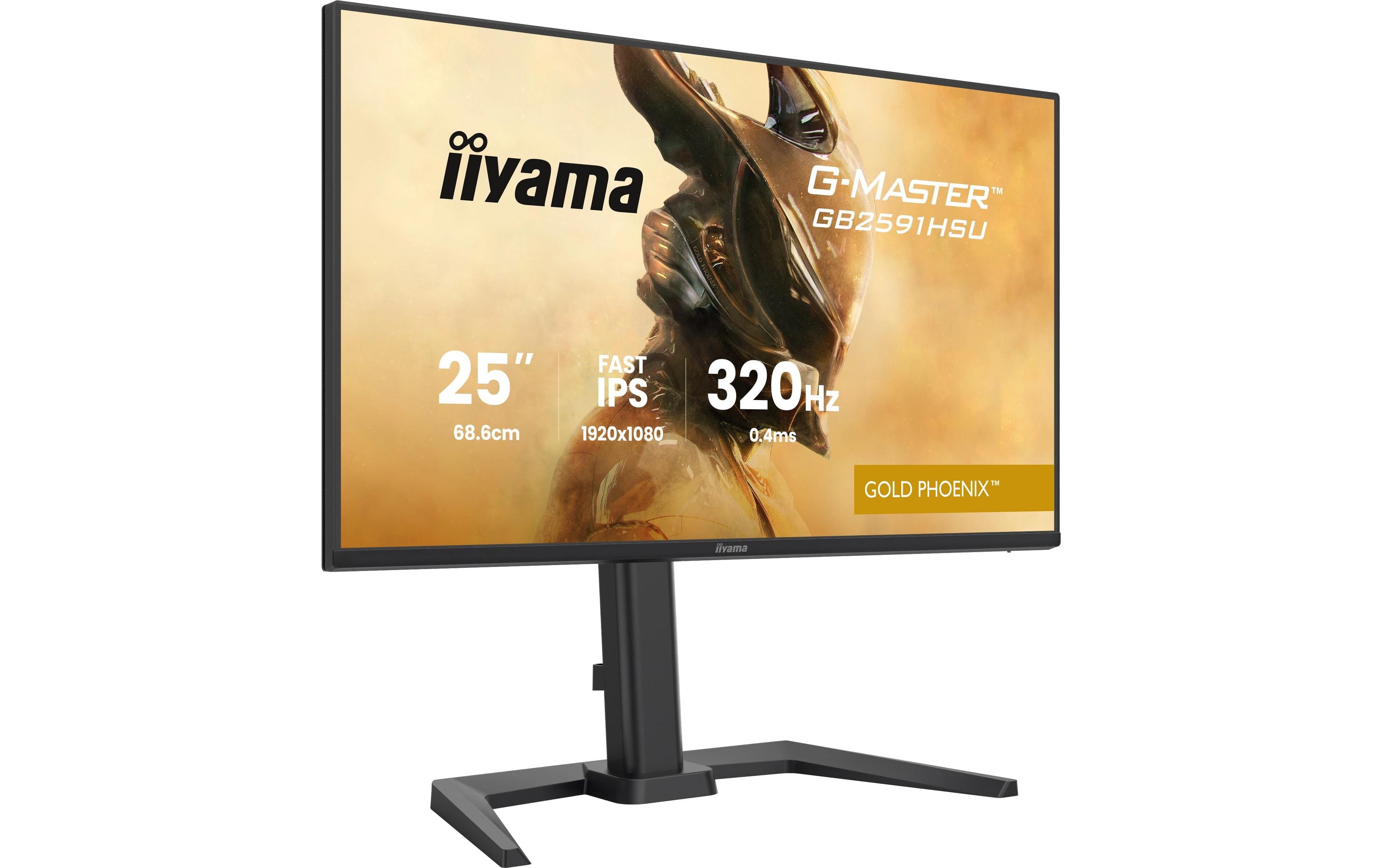 2033702_1 - Mediatech IIYAMA 25 GB2591HSU-B1 HDMI, DP