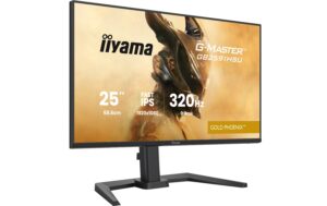 2033702_2 - Mediatech IIYAMA 25 GB2591HSU-B1 HDMI, DP